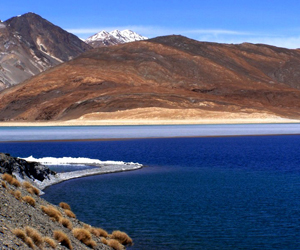 LEH – LADAKH with Pangong LAKE STAY   (Tour Cod